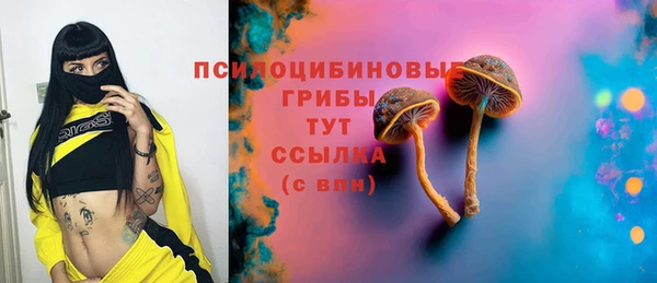 стаф Алексин