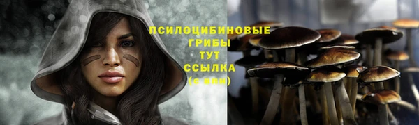 стаф Алексин