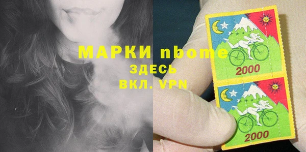 стаф Алексин