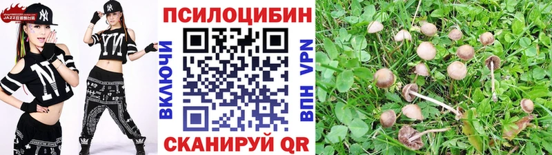 кракен как войти  Вихоревка  Псилоцибиновые грибы ЛСД 