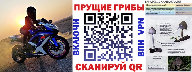 Галлюциногенные грибы MAGIC MUSHROOMS Вихоревка